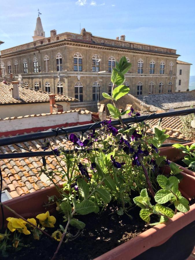 Il Giglio B&B Pienza Dış mekan fotoğraf