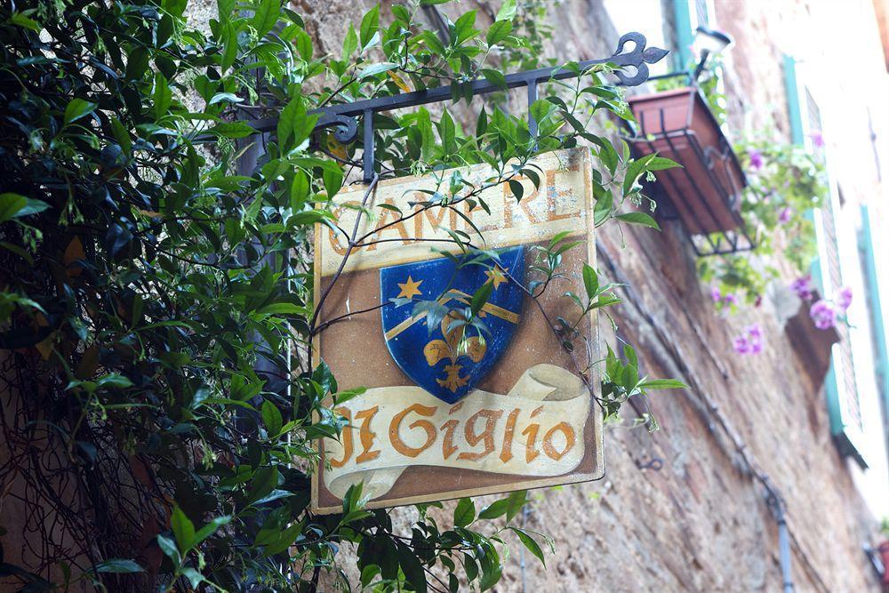 Il Giglio B&B Pienza Dış mekan fotoğraf