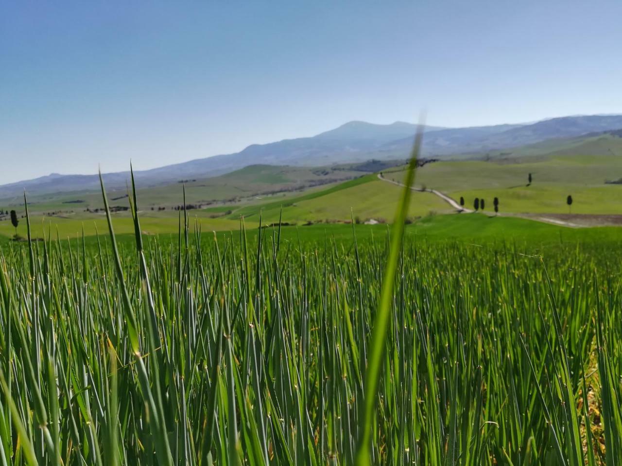 Il Giglio B&B Pienza Dış mekan fotoğraf